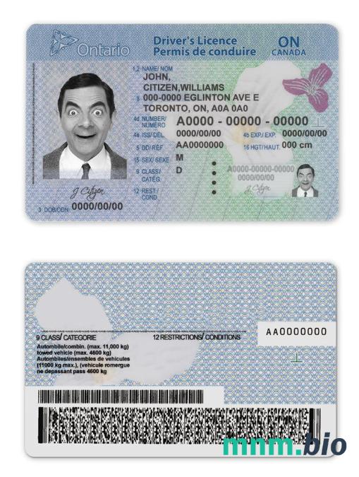 Canada Ontario driving license szablon in PSD format(2018present)